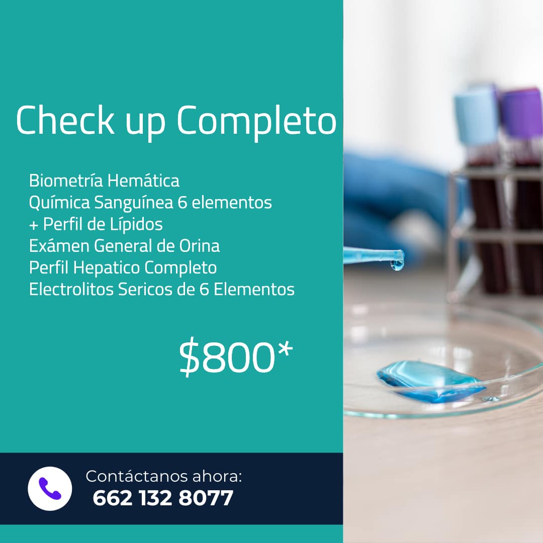 Check Up Completo