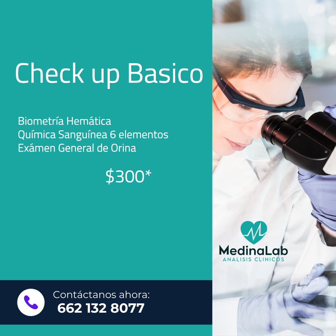 Check Up Basico